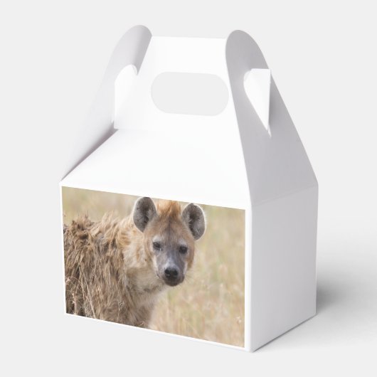 Hyena Bedankdoosjes (Achterkant)