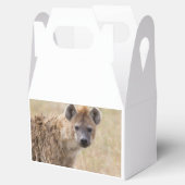 Hyena Bedankdoosjes (Geopend)