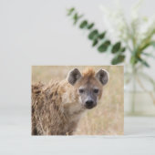Hyena Briefkaart (Staand voorkant)