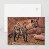 Hyena : Carte postale (Devant / Derrière)