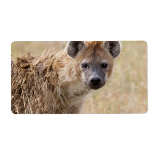 Hyena Etiket (Voorkant)