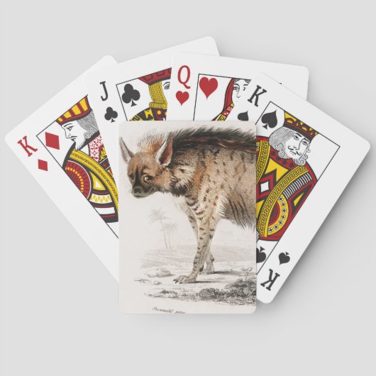 Hyena  geïllustreerd pokerkaarten (Achterkant)