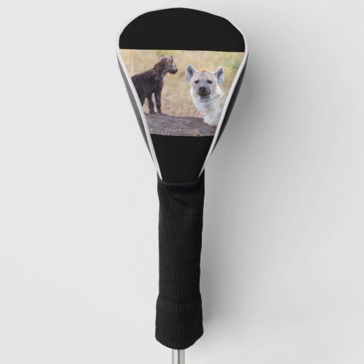 Hyena met jonge golfheadcover (Voorkant)