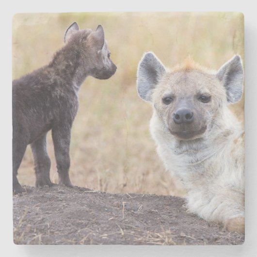 Hyena met jonge stenen onderzetter (Voorkant)