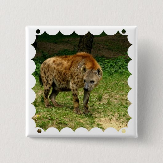 Hyena Prowl Square Pin Vierkante Button 5,1 Cm (Voorkant)