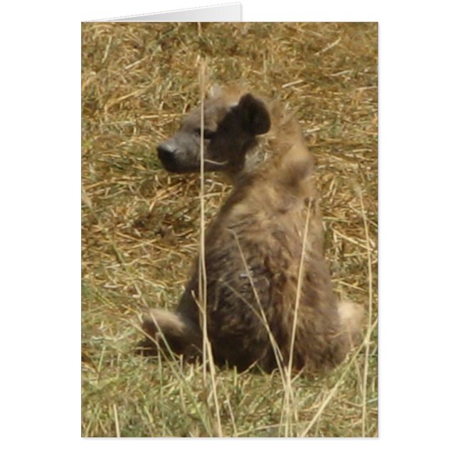 Hyena Pup (Devant)