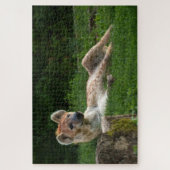 Hyena's Bliss Vastleggen van de glimlach van de Na Legpuzzel (Verticaal)