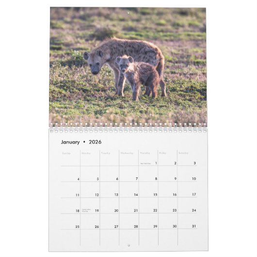 Hyenas Kalender (Jan 2026)