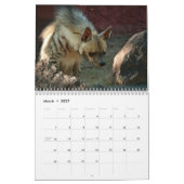 Hyenas Kalender (Mar 2027)