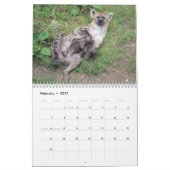 Hyenas Kalender (Feb 2027)