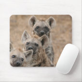 Hyenas Muismat (Met muis)