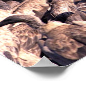 Hyena's prooi met gieren poster (Hoek)