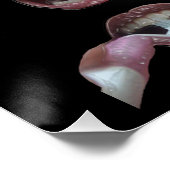 Hygiëne van de tanden - perfect poster (Hoek)