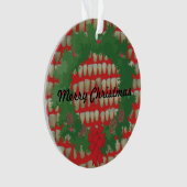 Hygiéniste dentaire d'orthodontiste de dentiste de (devant)