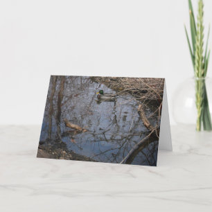 "Hyland Lake Mallard #2" - Hartelijk dank Kaart