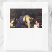 Hylas et Sticker Nymphs Waterhouse (Sac)