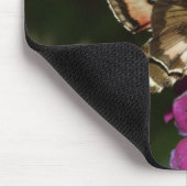 Hyles gallii muismat (Hoek)