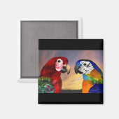 HYPER DELEN/RODE EN BLAUWE ARA MAGNEET (Voorkant / Achterkant)