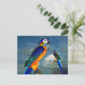 HYPER PARROTS/BLAUWE ARA BRIEFKAART (Staand voorkant)