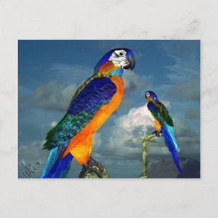 HYPER PARROTS/BLAUWE ARA BRIEFKAART