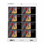 HYPER PARROTS/BLAUWE ARA ETIKET (Full Sheet)