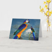 HYPER PARROTS/BLAUWE ARA KAART (Gele Bloem)