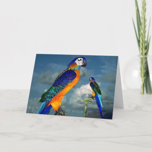 HYPER PARROTS/BLAUWE ARA KAART (Voorkant)
