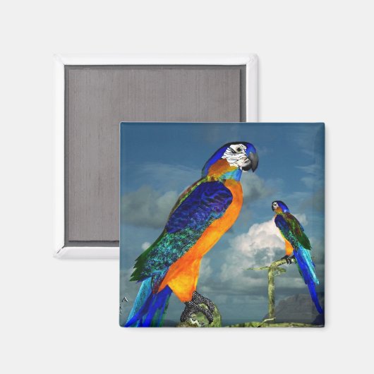 HYPER PARROTS/BLAUWE ARA MAGNEET (Voorkant / Achterkant)
