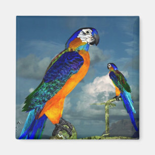 HYPER PARROTS/BLAUWE ARA MAGNEET
