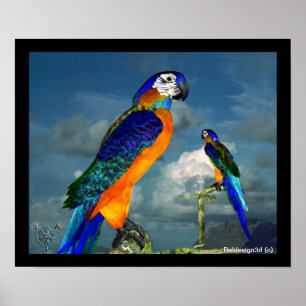 HYPER PARROTS/BLAUWE ARA POSTER