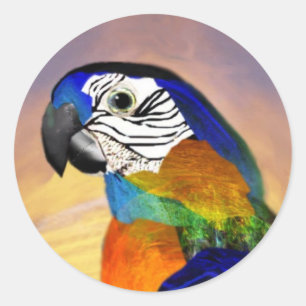 HYPER PARROTS/BLAUWE ARA RONDE STICKER