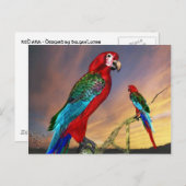 HYPER PARROTS/RODE ARA BRIEFKAART (Voorkant / Achterkant)