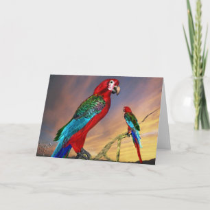 HYPER PARROTS/RODE ARA KAART