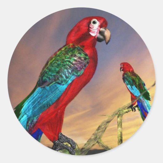 HYPER PARROTS/RODE ARA RONDE STICKER (Voorkant)