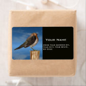 HYPER VOGELS/ROBINEBROOST ETIKET (Insitu)