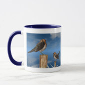 HYPER VOGELS/ROBINEBROOST MOK (Links)