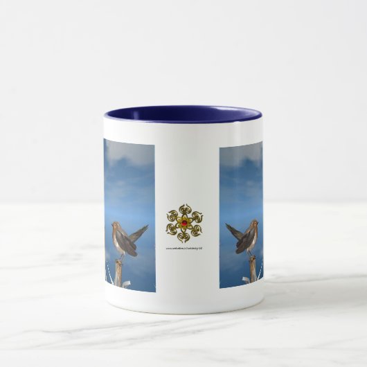 HYPER VOGELS/ROBINEBROOST MOK (Midden)