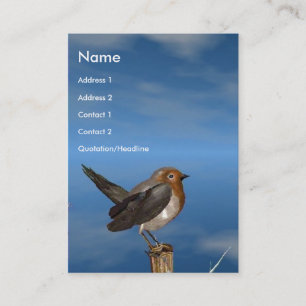 HYPER VOGELS/ROBINEBROOST VISITEKAARTJE