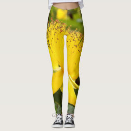 Hypericum calcium Leggings