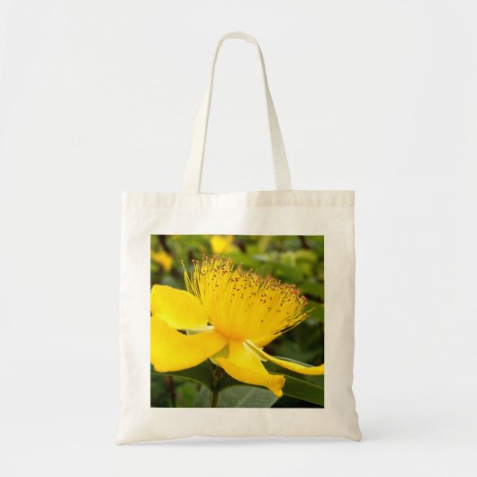 Hypericum Calcyinum Canvas tas (Voorkant)