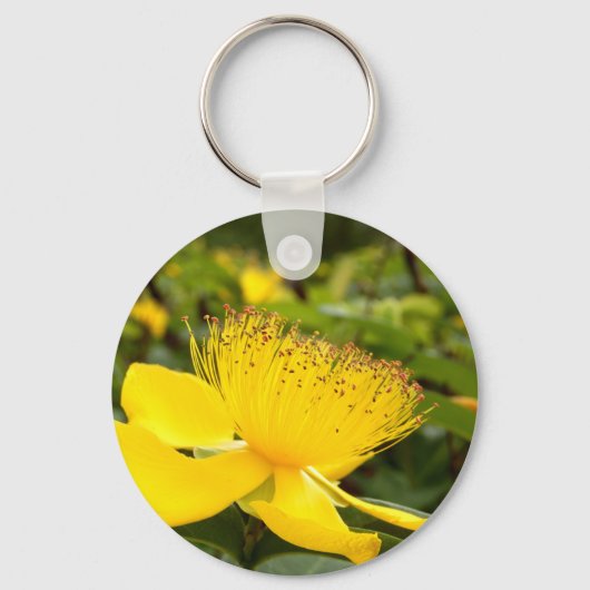 Hypericum Calcyinum Key Ring Sleutelhanger (Voorkant)