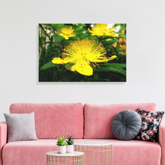 Hypericum calycinum canvas afdruk (Insitu (Woonkamer))