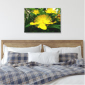 Hypericum calycinum canvas afdruk (Insitu (Slaapkamer))