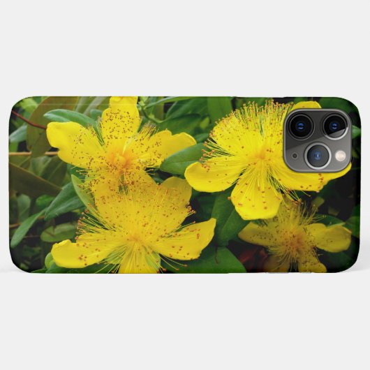 Hypericum calycinum Case-Mate iPhone case (Achterkant (horizontaal))