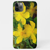 Hypericum calycinum Case-Mate iPhone case (Achterkant)