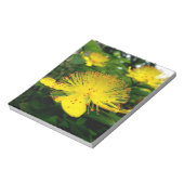 Hypericum calycinum notitieblok (Gedraaid)