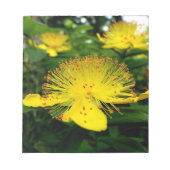 Hypericum calycinum notitieblok (Voorkant)
