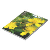 Hypericum calycinum notitieblok (Gedraaid)