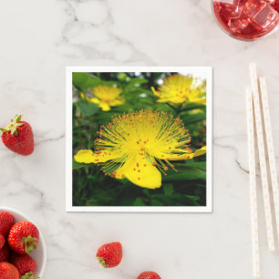 Hypericum calycinum papieren servetten