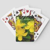 Hypericum calycinum pokerkaarten (Achterkant)